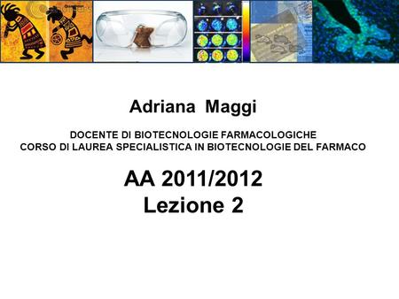 AA 2011/2012 Lezione 2 Adriana Maggi