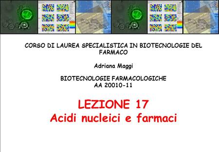 LEZIONE 17 Acidi nucleici e farmaci