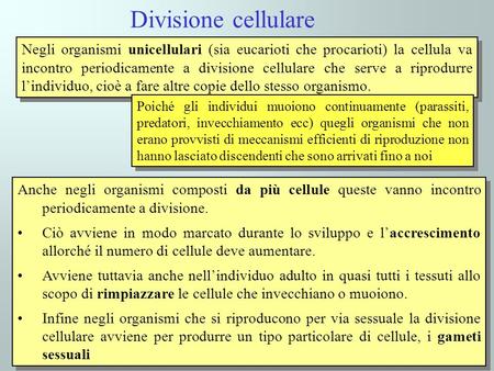 Divisione cellulare Negli organismi unicellulari (sia eucarioti che procarioti) la cellula va incontro periodicamente a divisione cellulare che serve a.