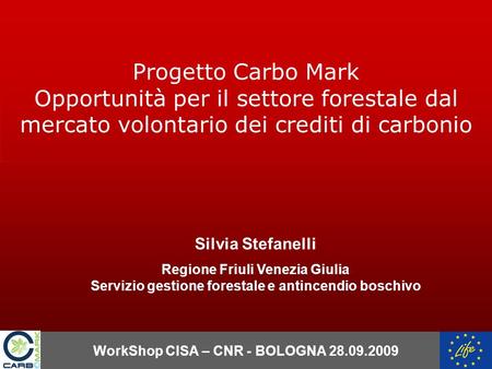 WorkShop CISA – CNR - BOLOGNA 28.09.2009 Silvia Stefanelli Regione Friuli Venezia Giulia Servizio gestione forestale e antincendio boschivo Progetto Carbo.
