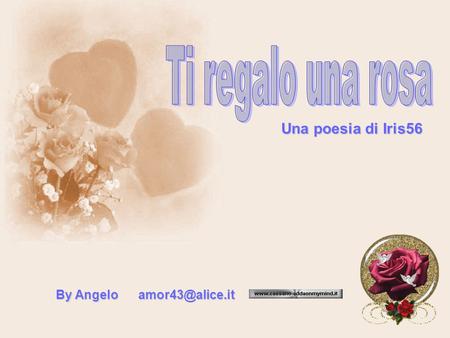 Ti regalo una rosa Una poesia di Iris56 By Angelo amor43@alice.it.