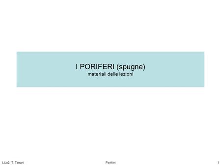 I PORIFERI (spugne) materiali delle lezioni