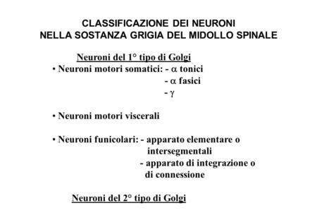 CLASSIFICAZIONE DEI NEURONI NELLA SOSTANZA GRIGIA DEL MIDOLLO SPINALE