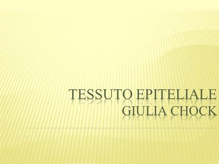 TESSUTO EPITELIALE Giulia Chock