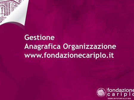 Gestione Anagrafica Organizzazione www.fondazionecariplo.it.