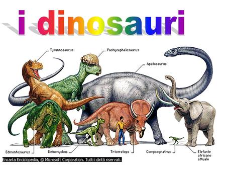 I dinosauri.