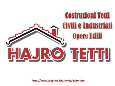 Hajro Tetti è nata nel 2007 dall’intraprendenza del suo fondatore, che vanta un’esperienza nel campo dell’edilizia.