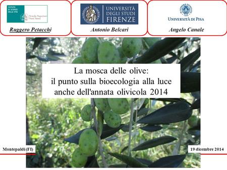 il punto sulla bioecologia alla luce anche dell'annata olivicola 2014