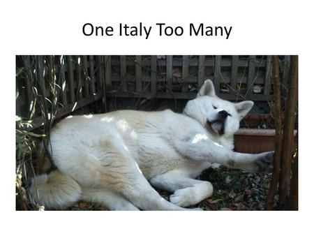 One Italy Too Many.
