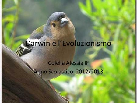 Darwin e l’Evoluzionismo