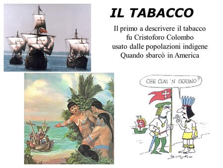 IL TABACCO Il primo a descrivere il tabacco fu Cristoforo Colombo