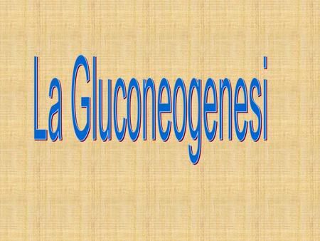 La Gluconeogenesi.