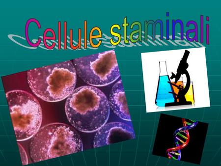Cellule staminali.