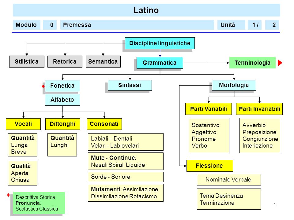 Grammatica italiana. Fonologia, morfologia e sintassi