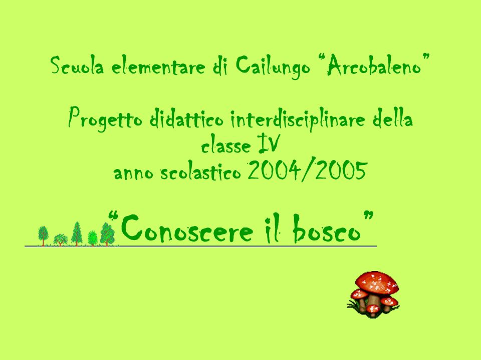 Scuola Elementare Di Cailungo Arcobaleno Progetto Didattico Interdisciplinare Della Classe Iv Anno Scolastico 04 05 Conoscere Il Bosco Ppt Video Online Scaricare