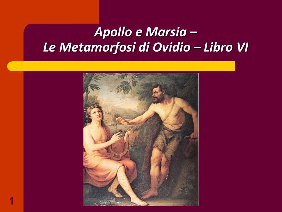 Riassunto libro Le metamorfosi di Ovidio