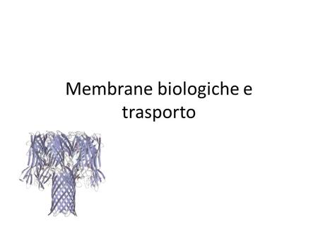 Membrane biologiche e trasporto