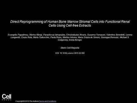 Direct Reprogramming of Human Bone Marrow Stromal Cells into Functional Renal Cells Using Cell-free Extracts Evangelia Papadimou, Marina Morigi, Paraskevas.
