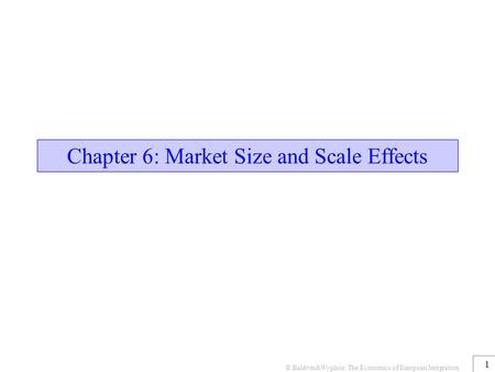 Chapter 6: Market Size and Scale Effects
