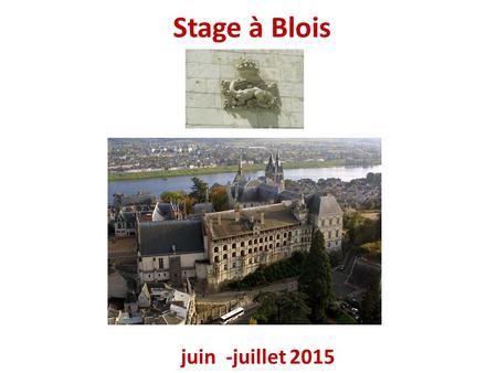 Stage à Blois juin -juillet 2015. Stage à Blois juin -juillet 2015 Il castello reale di Blois è l’introduzione ideale alla visita della Val di Loira poiché.