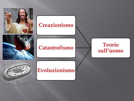 Teorie sull’uomo Creazionismo Catastrofismo Evoluzionismo.