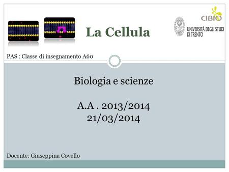 La Cellula Biologia e scienze A.A / /03/2014