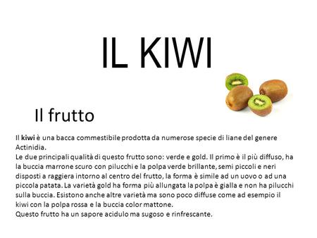 IL KIWI Il frutto Il kiwi è una bacca commestibile prodotta da numerose specie di liane del genere Actinidia. Le due principali qualità di questo frutto.
