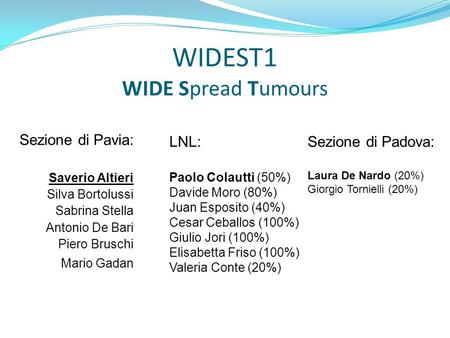 Sezione di Pavia: Saverio Altieri Silva Bortolussi Sabrina Stella Antonio De Bari Piero Bruschi Mario Gadan Sezione di Padova: Laura De Nardo (20%) Giorgio.