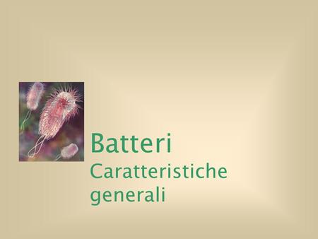 Batteri Caratteristiche generali