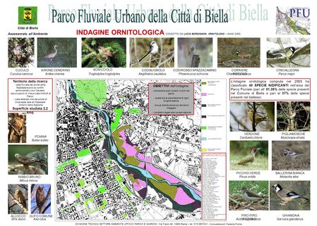 INDAGINE ORNITOLOGICA CONDOTTA DA LUCIO BORDIGNON, ORNITOLOGO – ANNO 2003 PRATI IRRIGUI POLIFITI PERMANENTI SEMINATIVI BOSCO A PREVALENZA DI CADUCIFOGLIE.