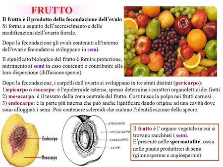 FRUTTO Il frutto è il prodotto della fecondazione dell’ovulo
