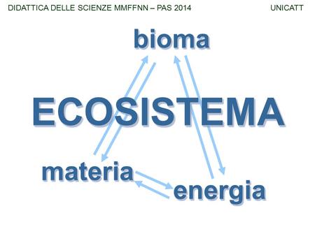 ECOSISTEMA bioma materia energia