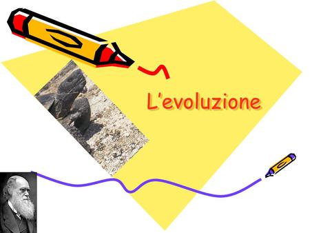 L’evoluzione.