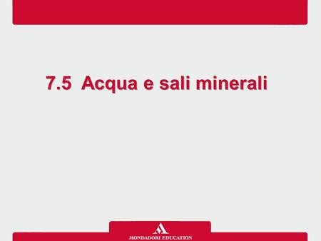 7.5 Acqua e sali minerali.