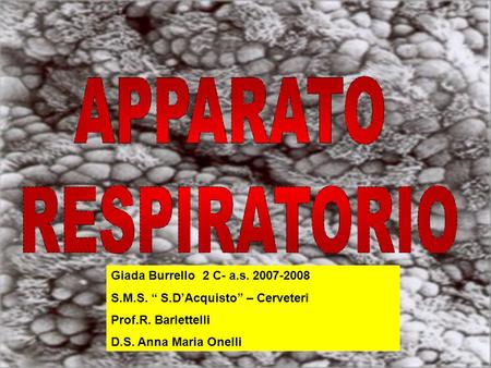 Giada Burrello 2 C- a.s. 2007-2008 S.M.S. “ S.D’Acquisto” – Cerveteri Prof.R. Barlettelli D.S. Anna Maria Onelli.