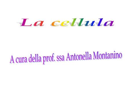 A cura della prof. ssa Antonella Montanino