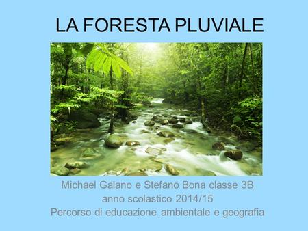 LA FORESTA PLUVIALE Michael Galano e Stefano Bona classe 3B
