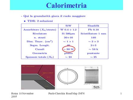 Roma 10 Novembre 2005 Paolo Checchia Road Map INFN1 Calorimetria.