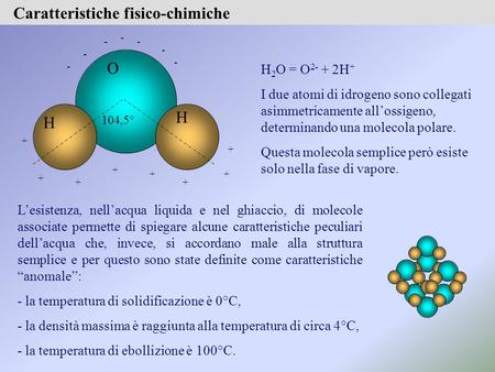 Caratteristiche fisico-chimiche H 2 O = O 2- + 2H + I due atomi di idrogeno sono collegati asimmetricamente all’ossigeno, determinando una molecola polare.