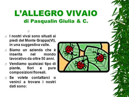 L’ALLEGRO VIVAIO di Pasqualin Giulia & C.   I nostri vivai sono situati ai piedi del Monte Grappa(VI), in una suggestiva valle.  Siamo un azienda che.