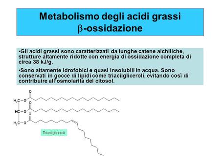 Metabolismo degli acidi grassi b-ossidazione