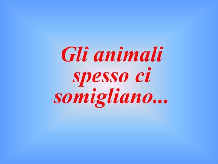 Gli animali spesso ci somigliano... Non hai capito che ti ho detto di chiudere la bocca?