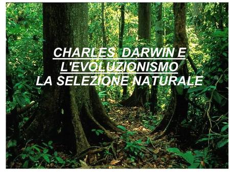 CHARLES DARWIN E L'EVOLUZIONISMO LA SELEZIONE NATURALE