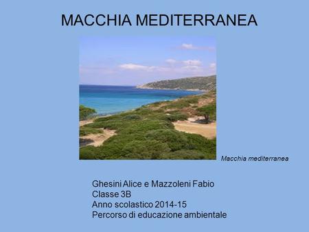 MACCHIA MEDITERRANEA Ghesini Alice e Mazzoleni Fabio Classe 3B