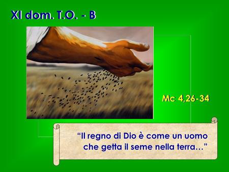XI dom. T.O. - B Mc 4,26-34 “Il regno di Dio è come un uomo