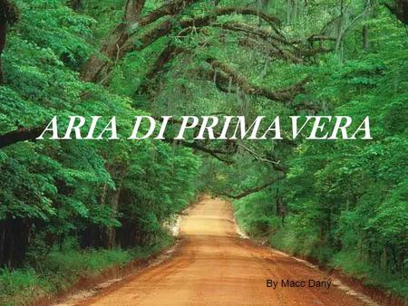 ARIA DI PRIMAVERA By Macc Dany.