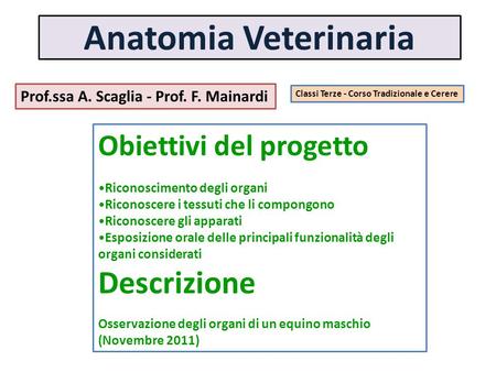 Anatomia Veterinaria Descrizione Obiettivi del progetto