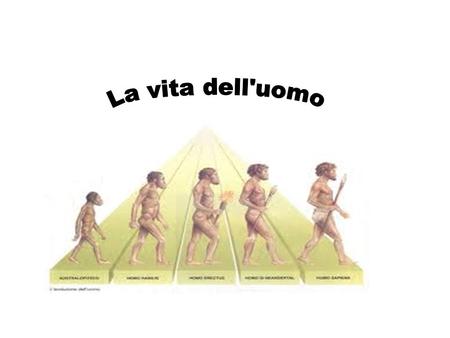 La vita dell'uomo.