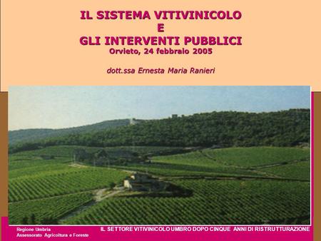 Regione Umbria IL SETTORE VITIVINICOLO UMBRO DOPO CINQUE ANNI DI RISTRUTTURAZIONE Assessorato Agricoltura e Foreste IL SISTEMA VITIVINICOLO E GLI INTERVENTI.