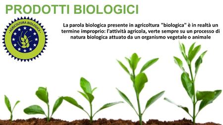 PRODOTTI BIOLOGICI La parola biologica presente in agricoltura biologica è in realtà un termine improprio: l'attività agricola, verte sempre su un processo.